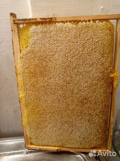 Рамки с вощиной