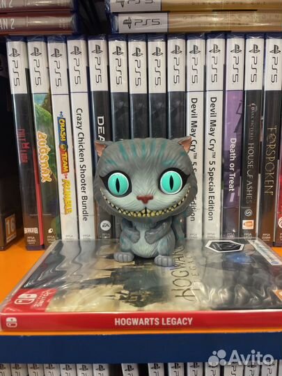 Hogwarts Legacy Nintendo Switch
