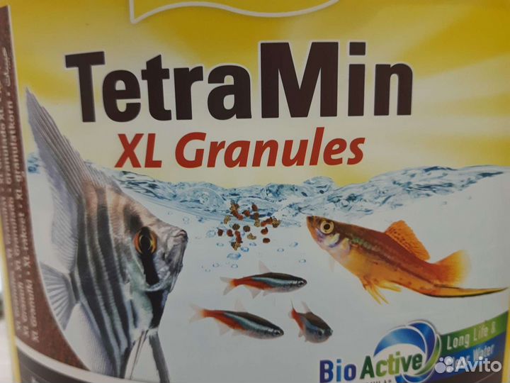 Корм и рыбы