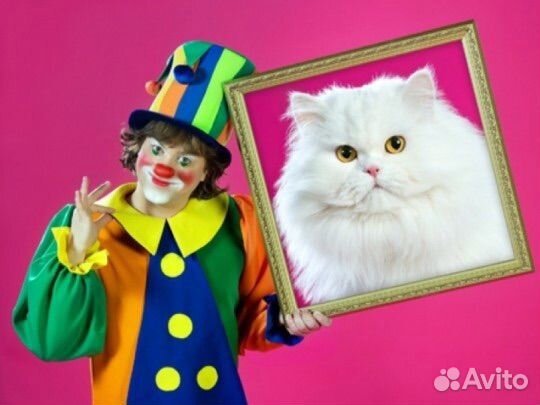 Билеты в театр Куклачева