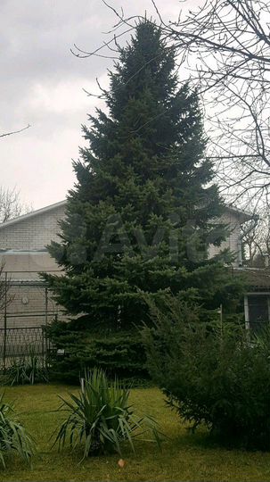 Дом 250 м² на участке 9 сот.