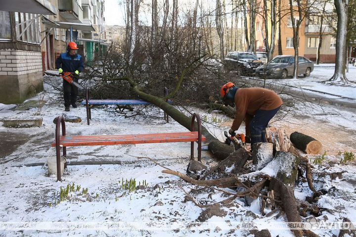 Распил упавших аварийных деревьев