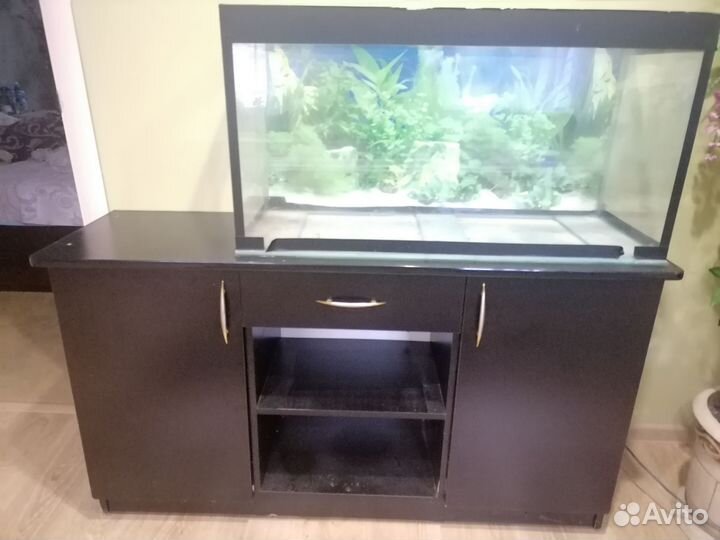 Аквариум