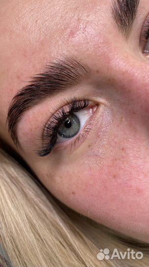 Мастер бровист