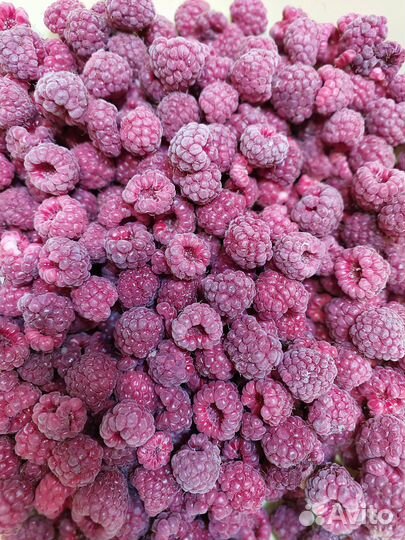 Малина замороженная