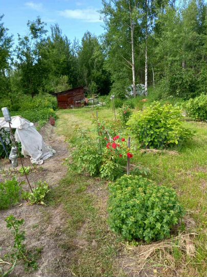 Дача 30 м² на участке 6 сот.