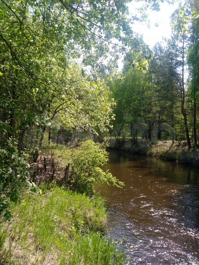 Участок 1,3 га (СНТ, ДНП)