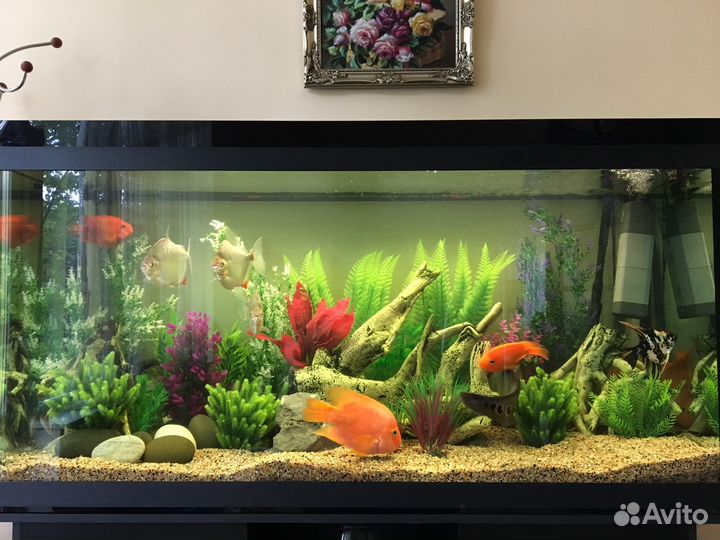 Чистка аквариума