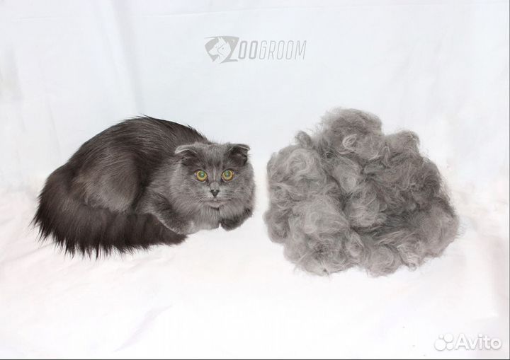 Стрижка кошек, котов и собак грумер