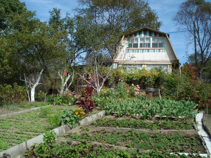 Дача 54 м² на участке 6 сот.