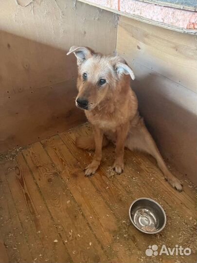 Слепой старичок никому не нужен