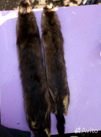 Шкурка норки