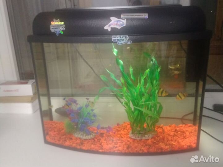 Аквариум