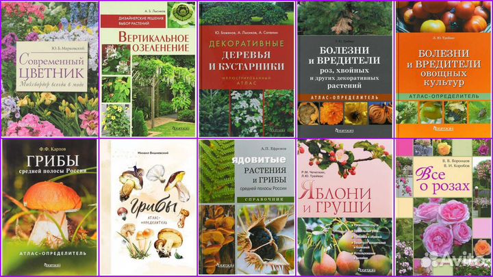 Цветы, ландшафт, деревья, цветники, грибы, сад