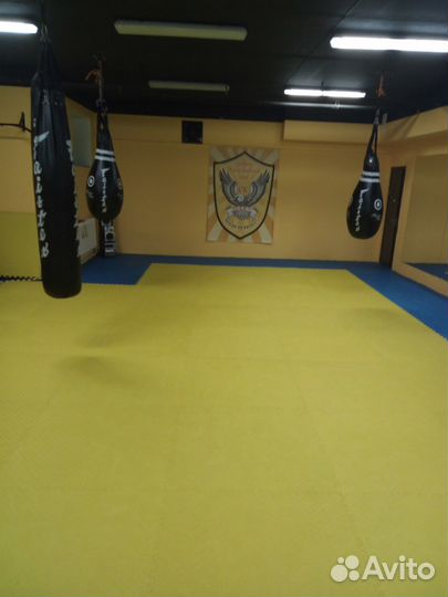 Кудо, Рукопашный бой, Смешанное единоборство