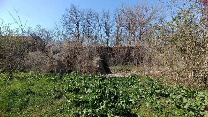 Дом 46 м² на участке 50 сот.