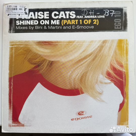Praise Cats Feat. Andrea Love – Shined On Me