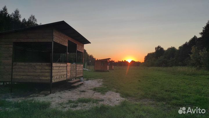 Аренда беседки у воды на берегу
