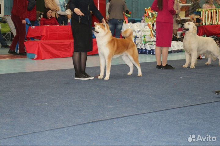 Для вязки