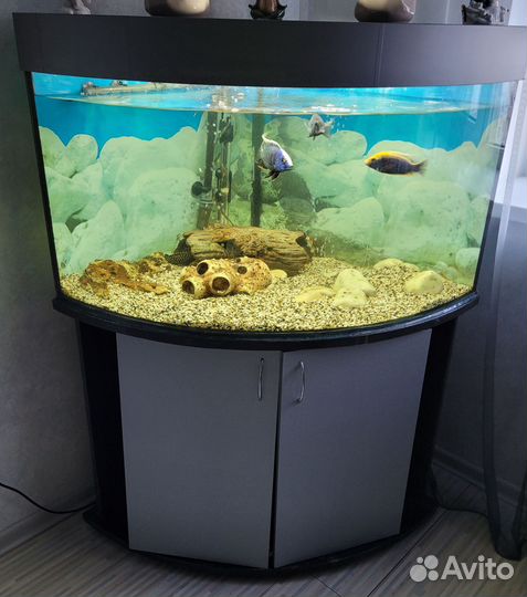 Аквариум