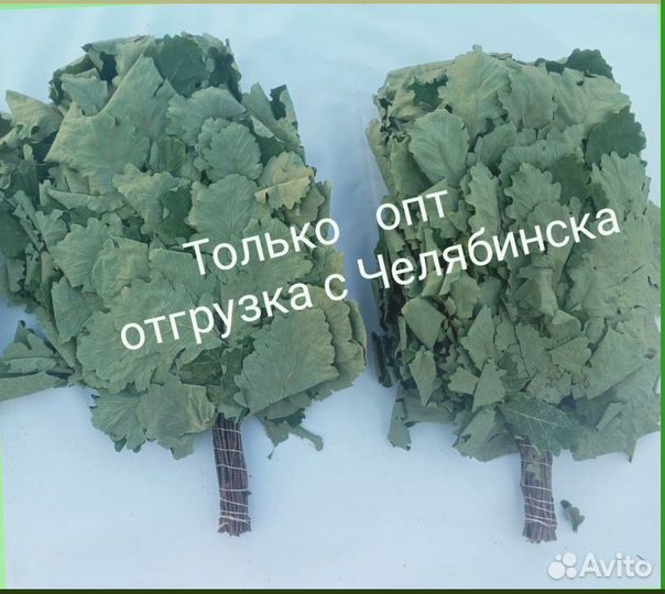 Веник для бани береза дуб травы опт под заказ