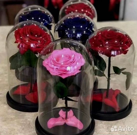 Роза в колбе
