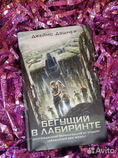 Книга Бегущий в лабиринте