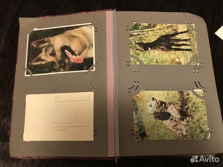 Альбом с открытками СССР