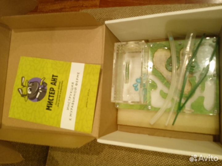 Муравьиная ферма без муравьев