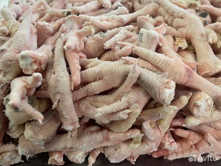 Лапы крыло суставы куриные