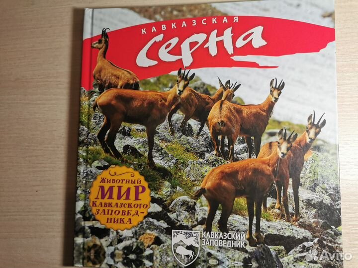 Книга-подарок Кавказская серна