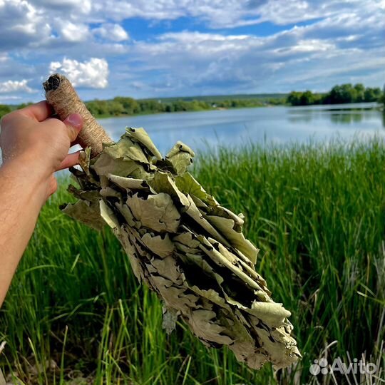 Кавказкие дубовые веники для бани