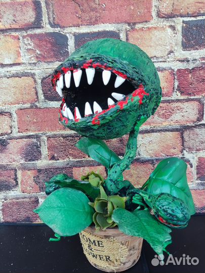 Цветок монстр