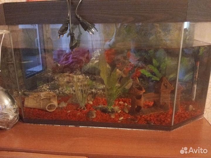 Аквариум