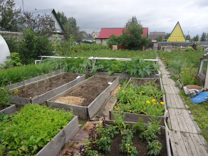 Дача 36 м² на участке 8 сот.