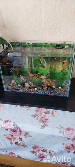 Аквариум