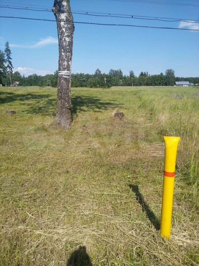 Участок 12 сот. (ИЖС)