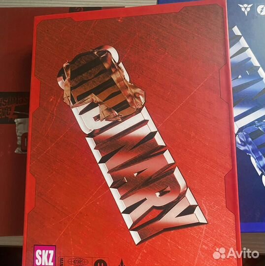 Stray kids фотобуки: oddinary, christmas evel