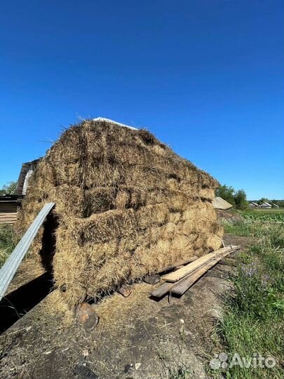 Сено в тюках
