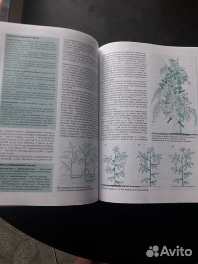 Энциклопедия садовода и огородника Ганичкиной