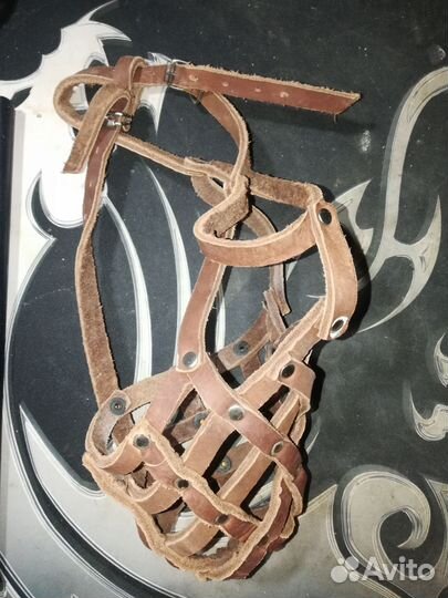 Ошейник, шлейка, намордник