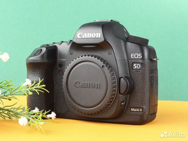 Фотоаппарат Canon 5D mark II body с батблоком