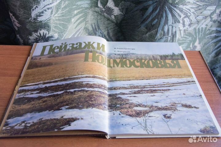 Фотоальбом 