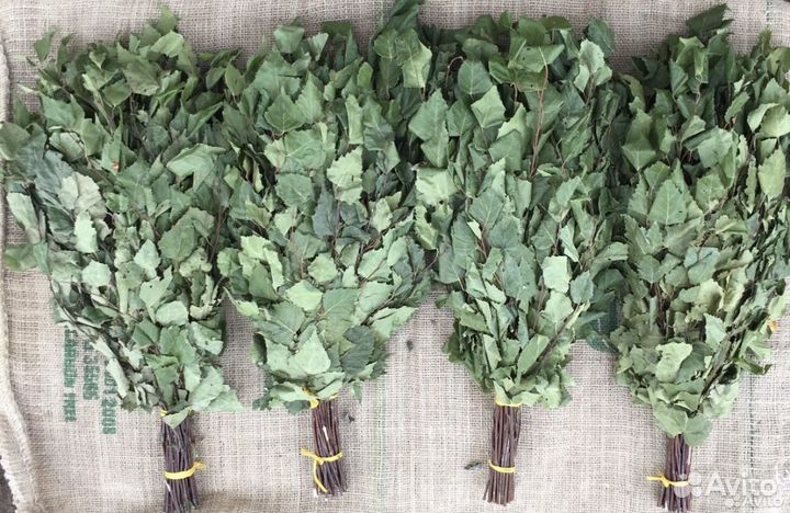 Березовые веники