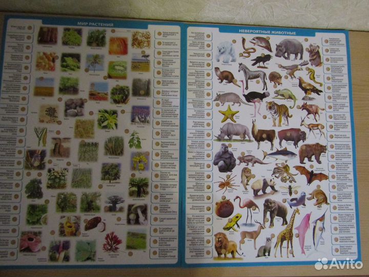 Электровикторина Кругосветное путешествие