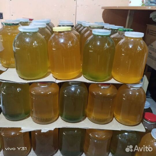 Мёд подсолнух 2023