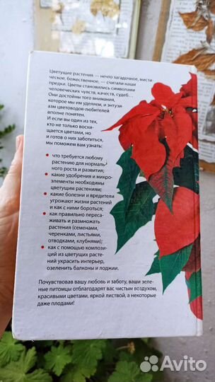 Энциклопедия комнатного цветоводства