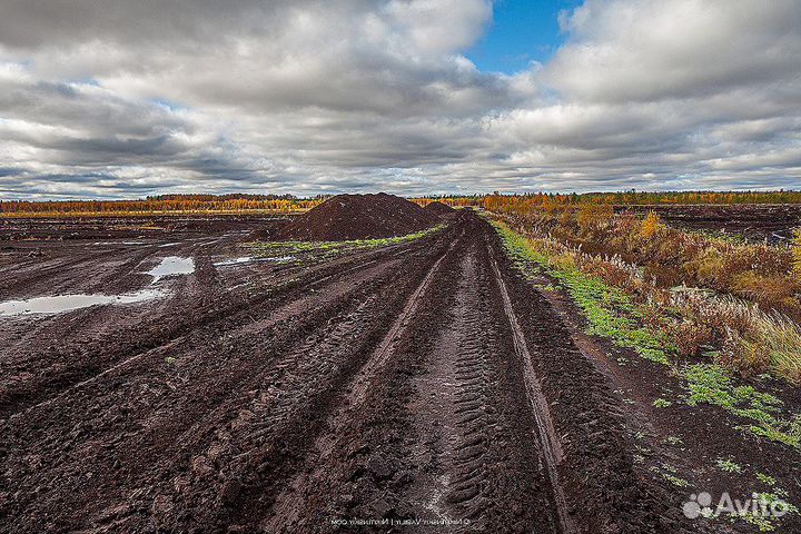 Торф верховой
