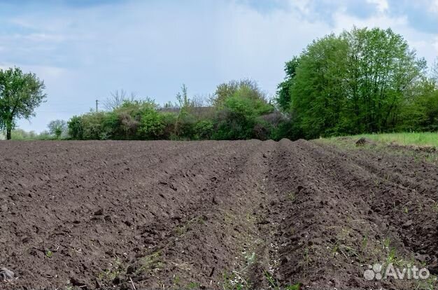 Вспашка огорода мтз 82