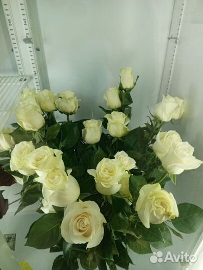 Живые цветы букеты